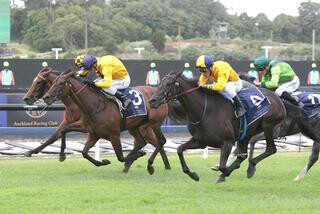Communique (NZ) prevails in Leg 9 of the NZB Filly of the Year Series. Photo: Trish Dunell.